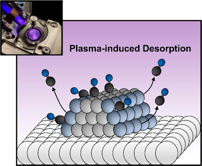 Graphical Abstract